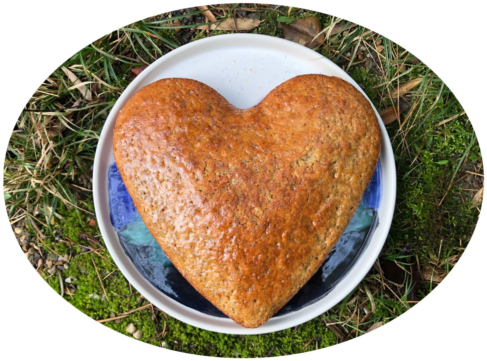 Gâteau à la farine semi-complète, yaourt, citron & pavot