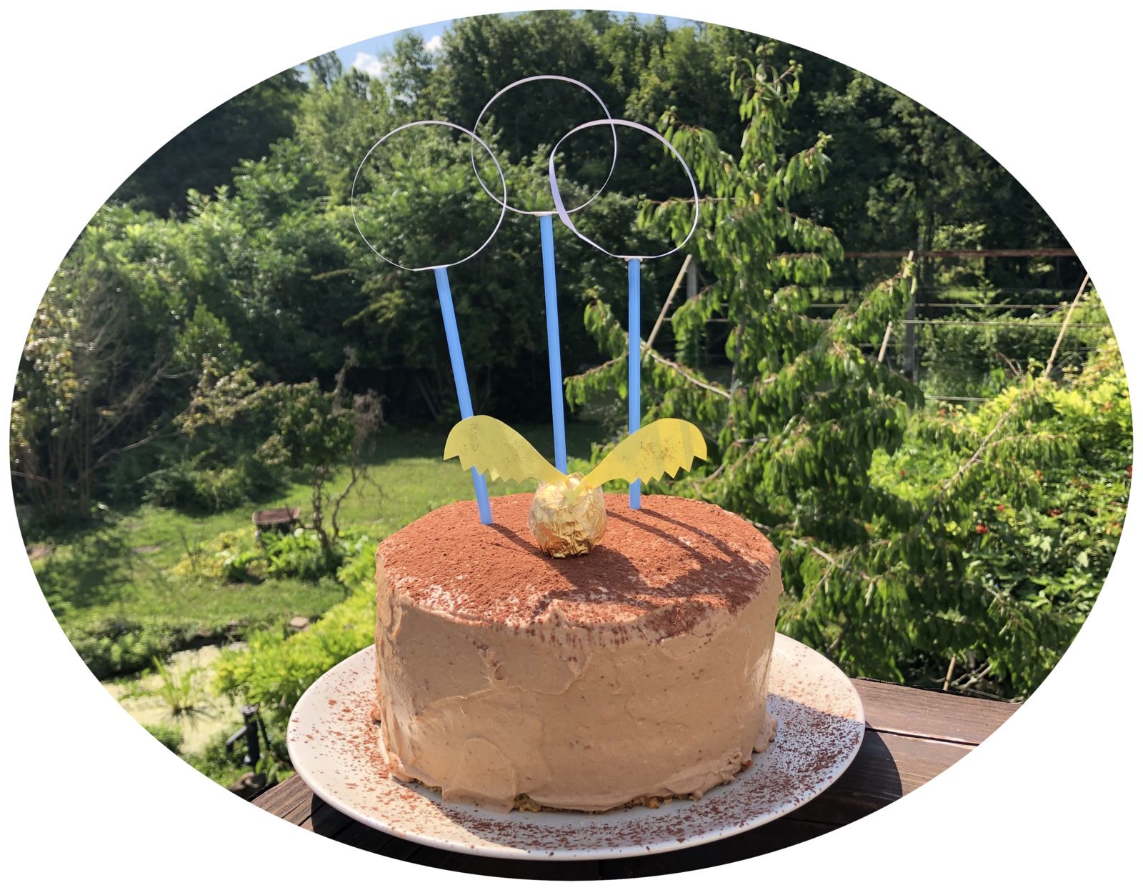 Layer cake Harry Potter aux pépites de chocolat & ganache montée au chocolat praliné 