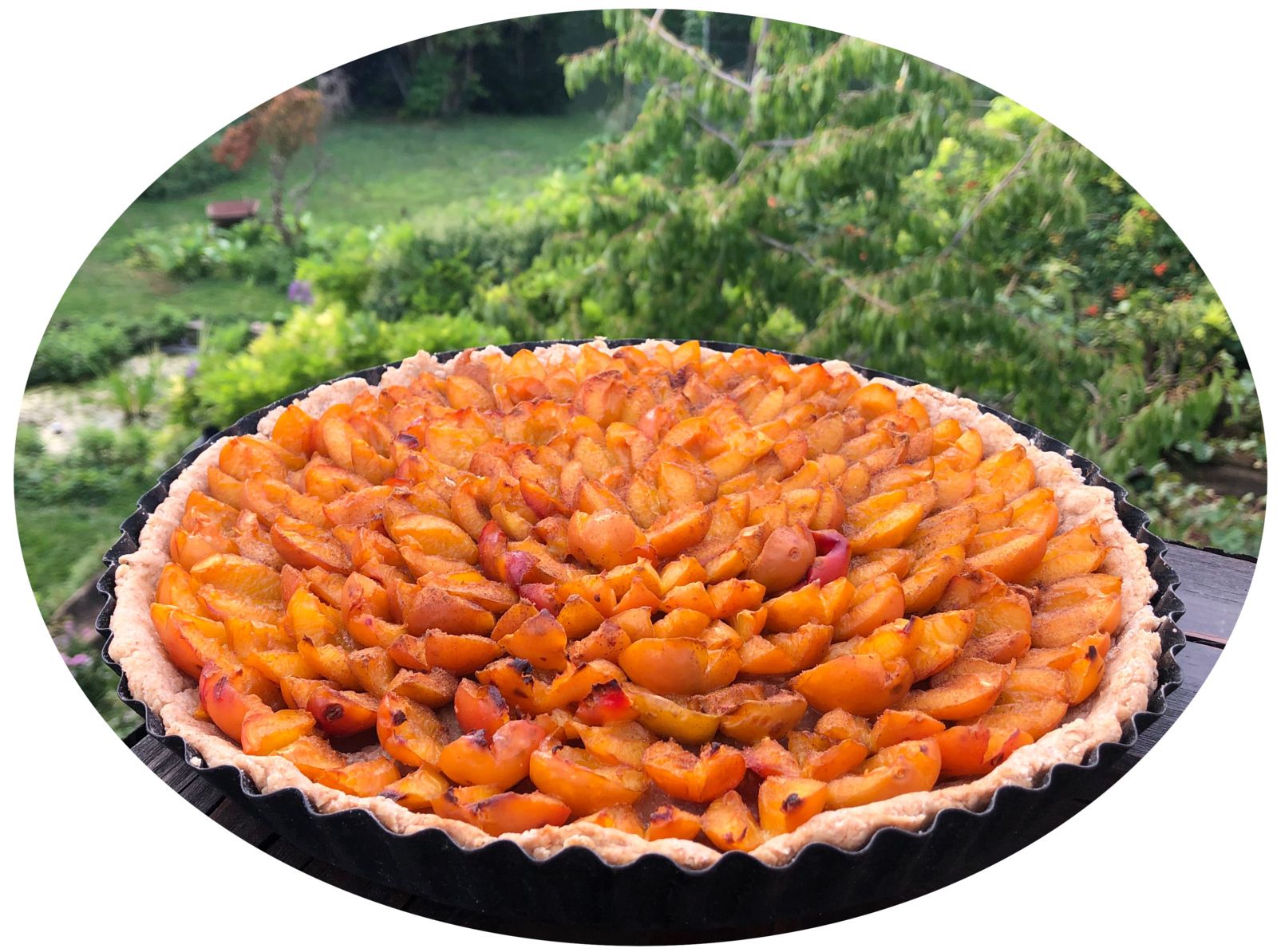 Tarte aux mirabelles, pâte sablée à la farine semi-complète & vin blanc