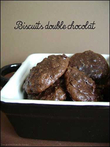 Biscuits double chocolat