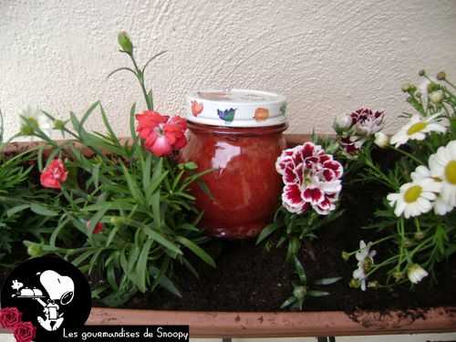 Confiture fraise-rhubarbe