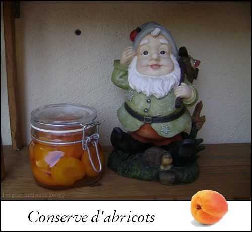 Conserve d'abricots