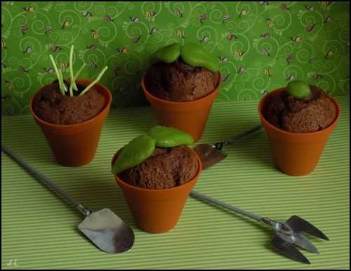 Cupcakes pot de fleur