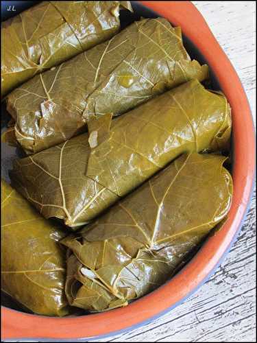 Feuilles de vigne farcies (Dolma)