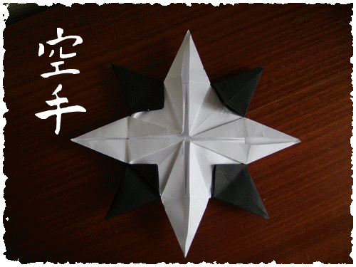 L'art de l'origami