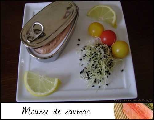 Mousse de saumon
