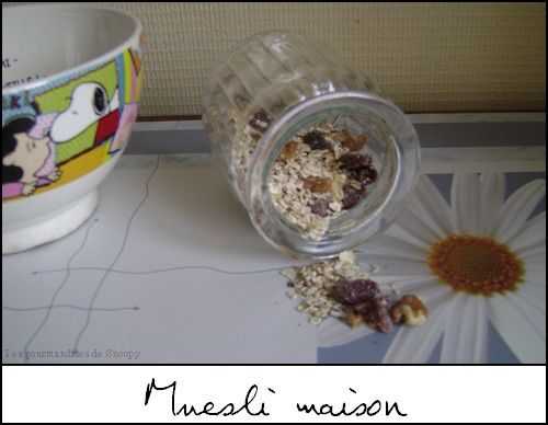 Muesli maison