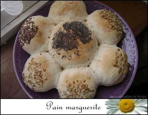 Pain marguerite