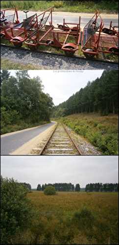 Railbike dans les Hautes fagnes