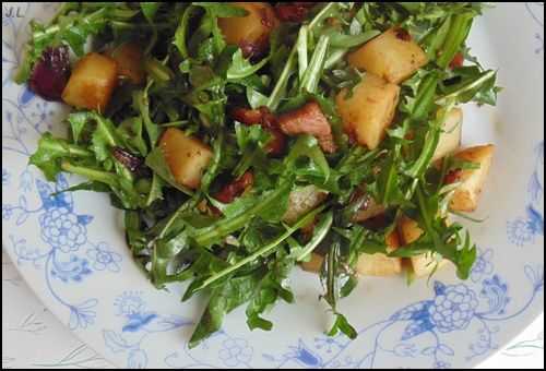 Salade aux herbes folles