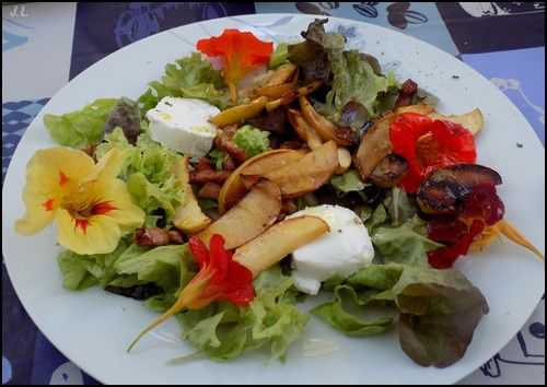 Salade pomme-chèvre