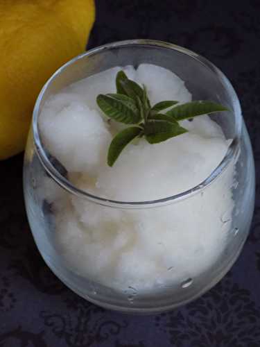 Sorbet citron verveine