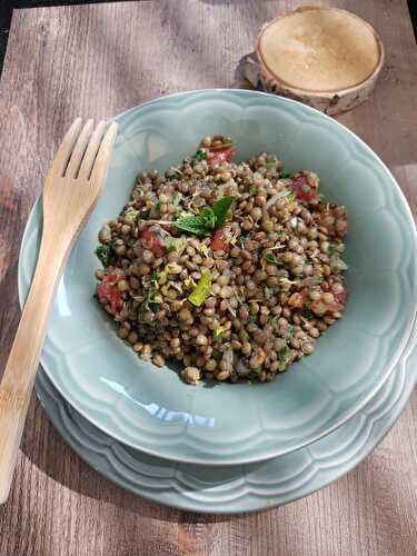 TABOULE DE LENTILLES VERTES  - UNE TOULOUSAINE EN CUISINE