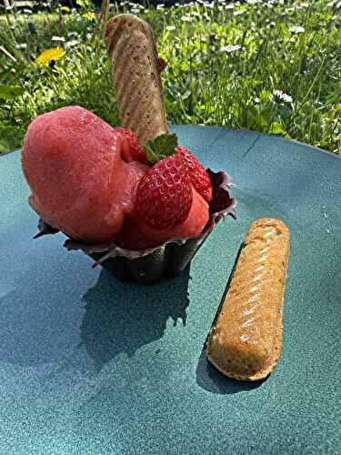 SORBET FRAISES PLEIN FRUIS COQUE CHOCOLAT ET FINANCIERS PISTACHE