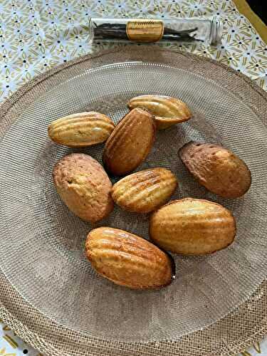MADELEINES VANILLE