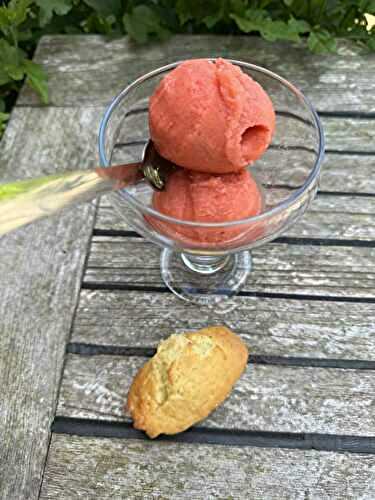 SORBET DE SAISON FRAISES/RHUBARBE