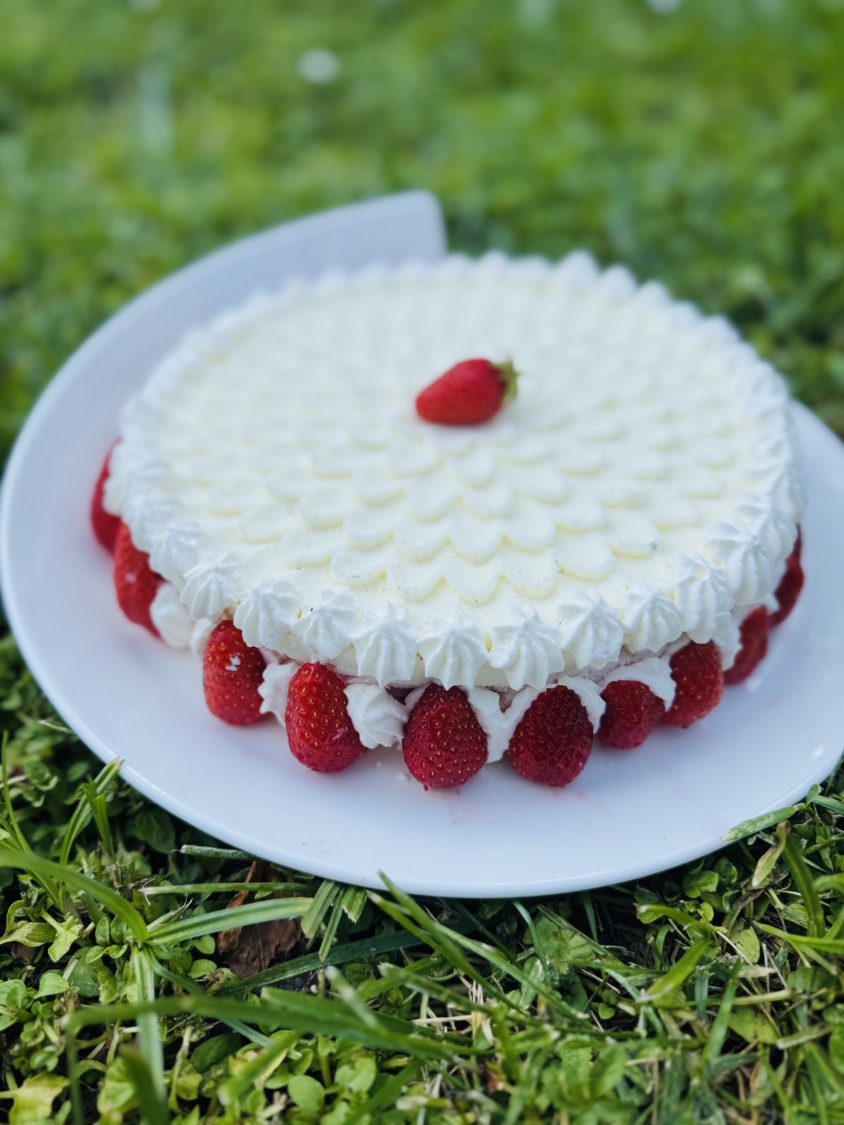 VACHERIN GLACÉ VANILLE FRAISE