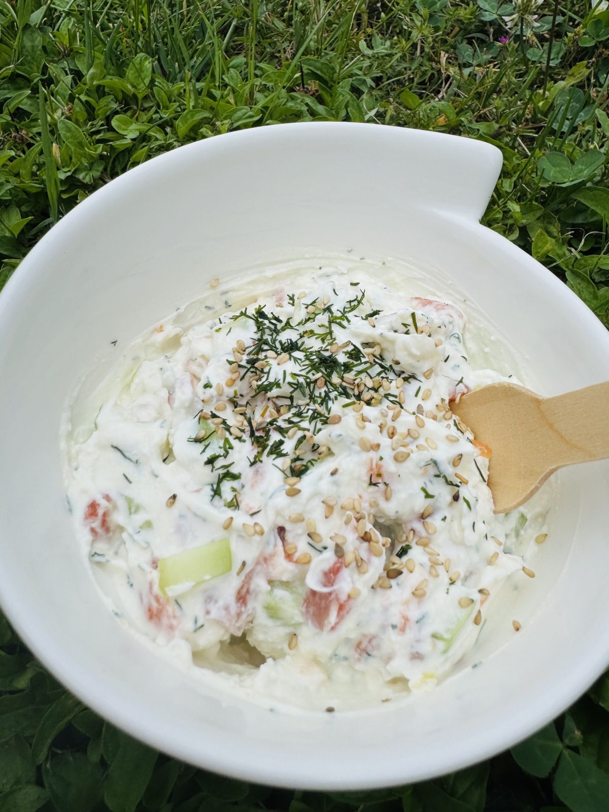 FROMAGE FRAIS SAUMON ET CONCOMBRE