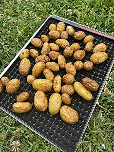 POMMES DE TERRE NOUVELLES AUX HERBES ROTIES AU FOUR