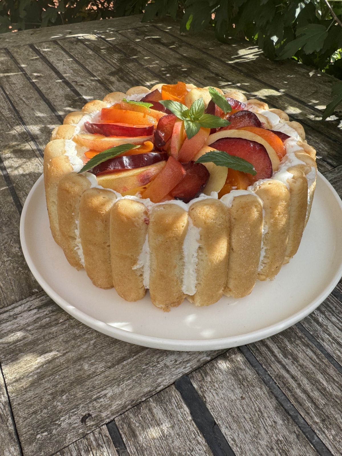 CHARLOTTE AUX FRUITS DE SAISON