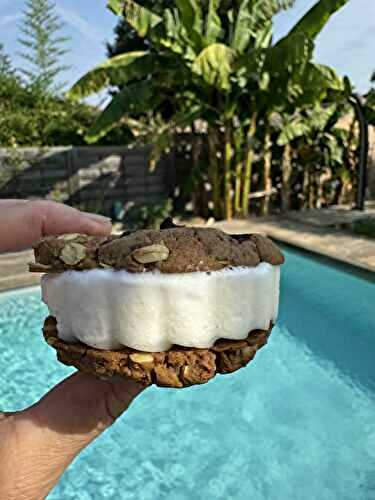 SANDWICHS GLACES A LA VANILLE