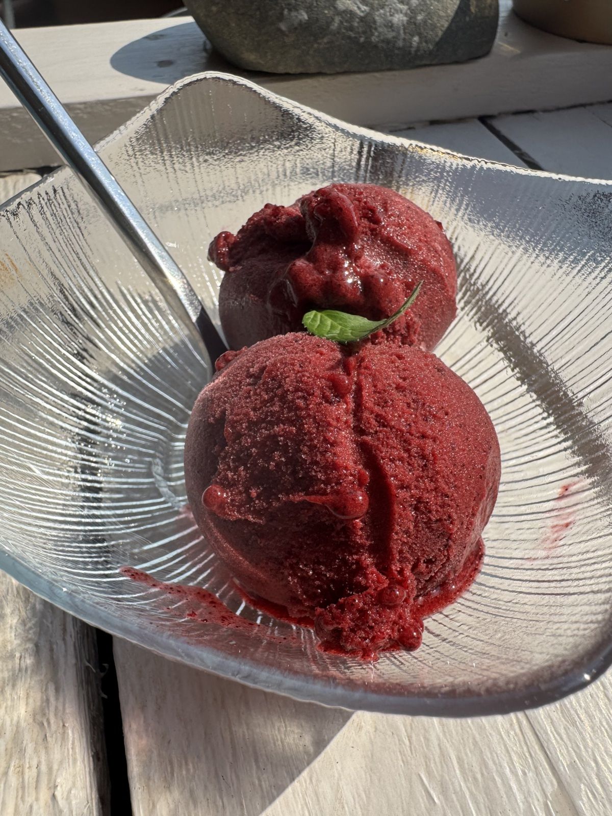 SORBET MURES SAUVAGES