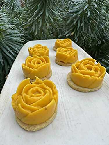 ROSES PANACOTTA CAROTTES COCO CUMIN