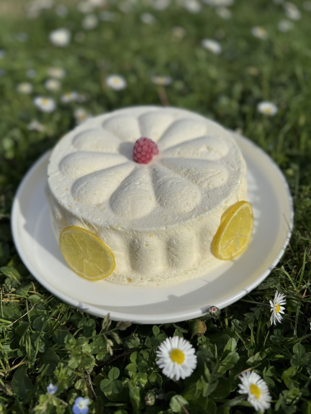 ENTREMET CITRON FRAMBOISES MERCOTTE