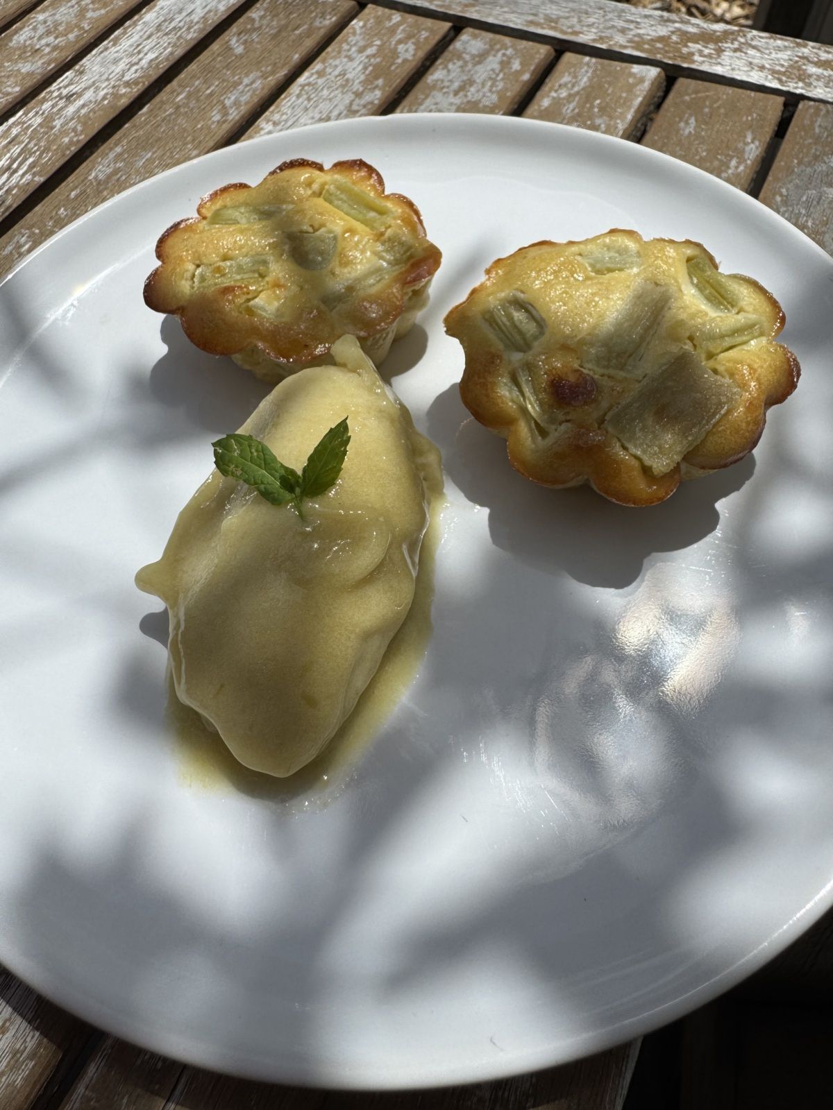 MINI CLAFOUTIS RHUBARBE AVEC OU SANS LACTOSE ET GLUTEN
