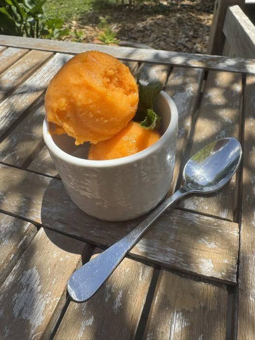 SORBET PLEIN FRUITS ABRICOTS