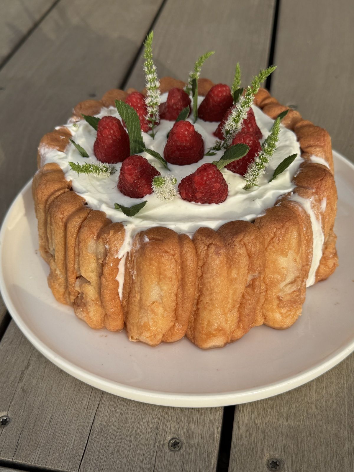 CHARLOTTE LEGERE AUX FRAMBOISES