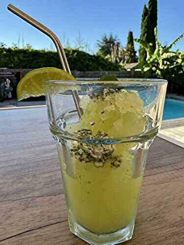 GRANITE MOJITO