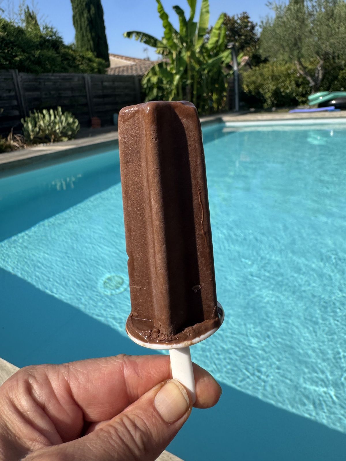 SORBET CHOCOLAT