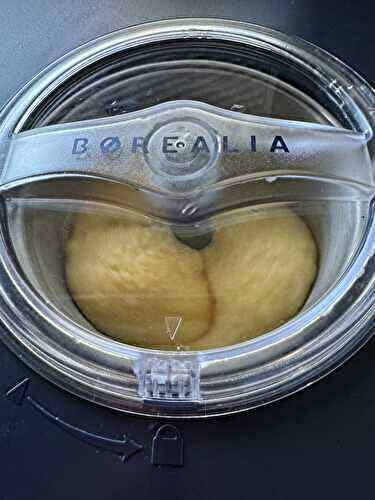SORBET MANGUE PROTEINE