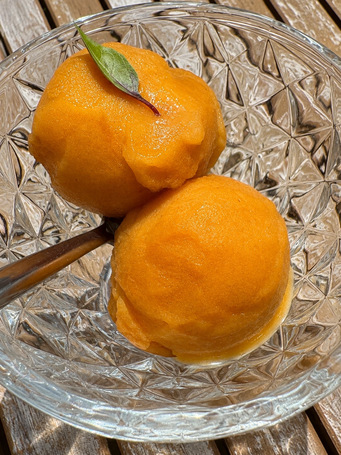 SORBET PECHES DU ROUSSILON