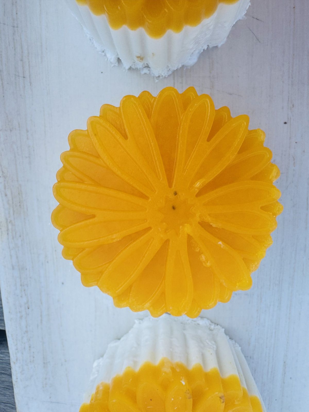 PANACOTTA COCO PASSION