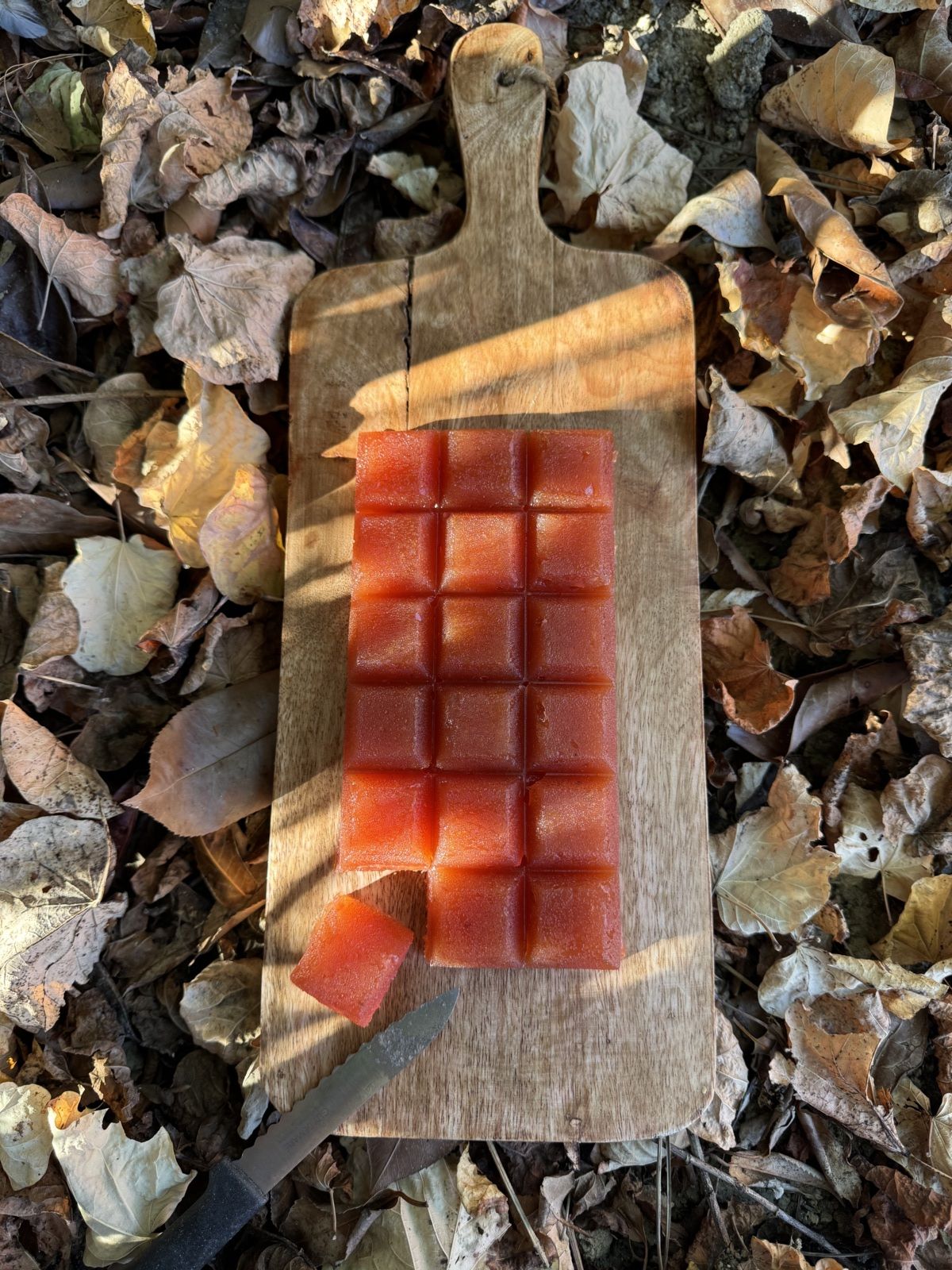 PÂTE DE COINGS MAISON – UNE IDÉE GOURMANDE À PARTAGER !
