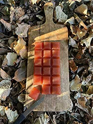 PÂTE DE COINGS MAISON – UNE IDÉE GOURMANDE À PARTAGER !
