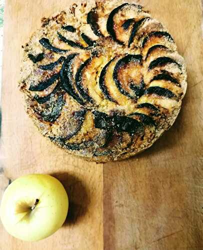 Gâteau au pomme au Ninja Foodi max - Valérie Passion Cuisine