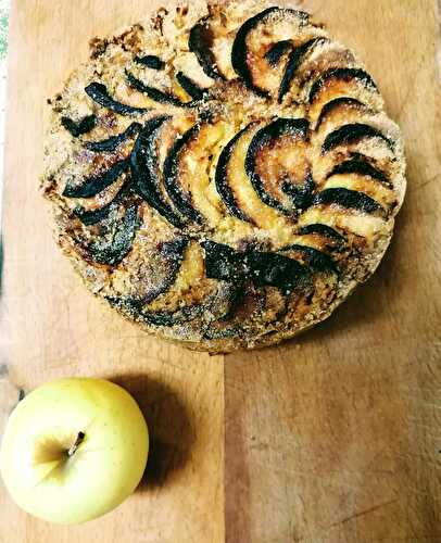 Gâteau au pomme au Ninja Foodi max