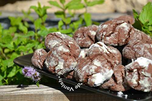 Crinkles menthe-chocolat - Vanish Délices : recettes & test de produits