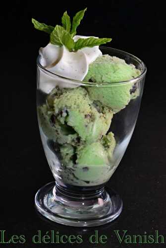 Glace à la menthe et aux pépites de chocolat