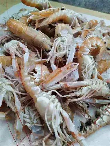 La langoustine