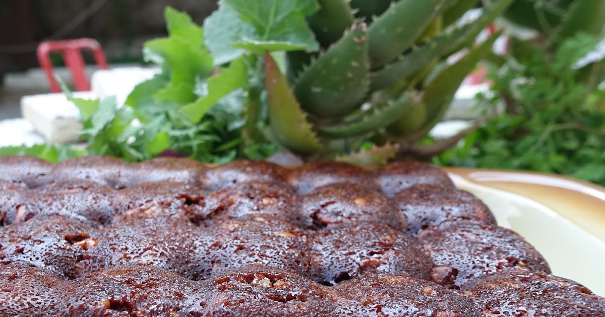 GÂTEAU MOELLEUX AU CHOCOLAT ET NOISETTES AU SKYR