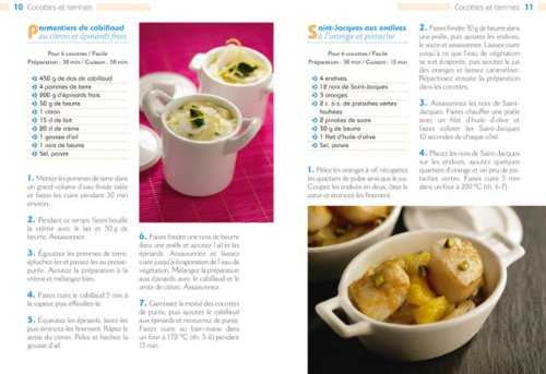 100 recettes de cocottes et terrines