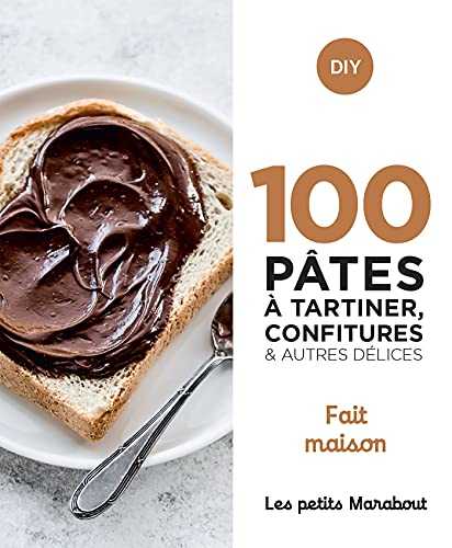 100 recettes pâtes à tartiner, confitures et autres délices - home made