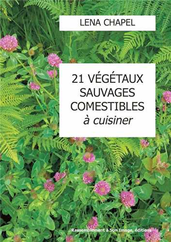 21 végétaux sauvages comestibles à cuisiner