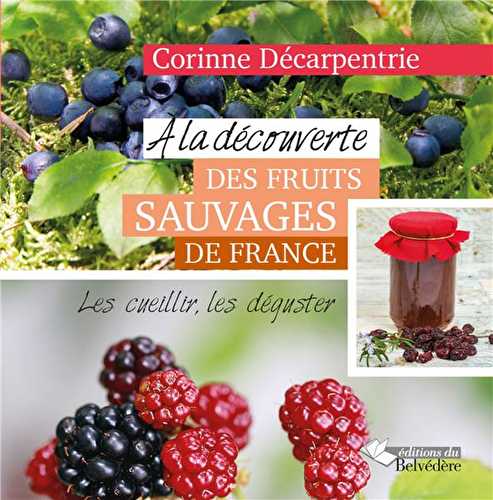 À la découverte des fruits sauvages de france - les cueillir, les déguster