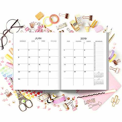 Agenda scolaire 2018-2019: 19x23cm : Agenda 2018 2019 semainier : Motif licornes, chats, crème glacée et beignets