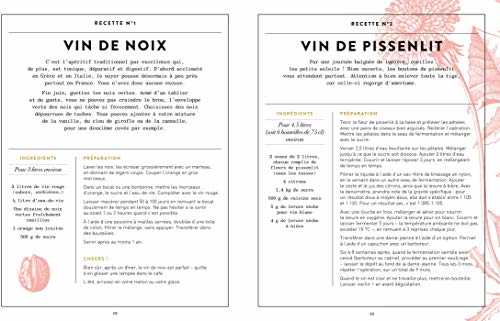 Alcools et liqueurs maison: Réalisez vous-même vos boissons alcoolisées